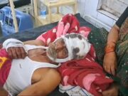 गांगुली गांव में बुजुर्ग किसान पर भालू ने किया हमला चीख-पुकार सुनकर पहुंचे ग्रामीणों ने बमुश्किल बचाईं जान