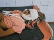 प्रसिद्ध करीला धाम से ससुराल आए दामाद की भैंस से हुई भिड़ंत,हाथ पैर टूटे