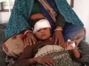 स्कूल लौटते समय मासूमों पर सियार का हमला 6 साल की मासूम के आए 25 टांके, 2 घायल