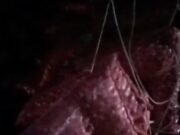 प्याज से भरा ट्रक पलटा:चालक को नींद आने से एनएच-46 पर हुआ हादसा; 80 बोरी प्याज बिखरी