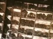 पिछोर कपड़े की दुकान में लगाई आग:लाखों का नुकसान,सीसीटीवी में कैद हुआ संदिग्ध