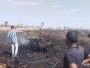 5 बीघा खेत में खड़ी गेहूं की फसल में लगी आग, लाखों का नुकसान