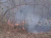 सिंधिया छत्री परिसर में अज्ञात कारणों के चले लगी आग, मौके पर पहुंची दमकल