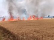 25 बीघा गेहूं की फसल में शॉर्ट सर्किट से लगी आग,लाखों का नुकसान