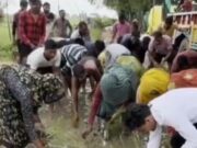 कीचड़ भरी सड़क पर धान रोपी,खिरिया मार गांव में सड़क की दुर्दशा का अनोखा विरोध