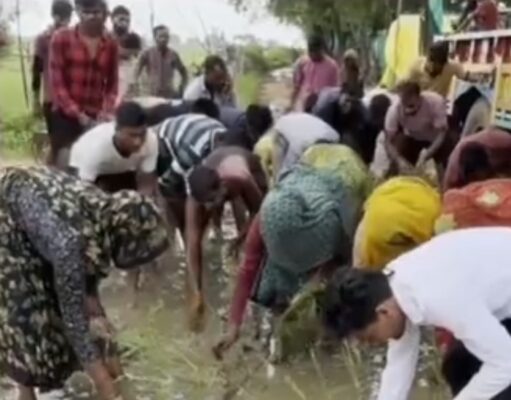 कीचड़ भरी सड़क पर धान रोपी,खिरिया मार गांव में सड़क की दुर्दशा का अनोखा विरोध