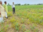 शिवपुरी में बेमौसम बारिश से तबाही, विधायक जैन ने किया दौरा; राजस्व अधिकारियों को दिए सर्वे के निर्देश